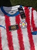 Paraguay 2026