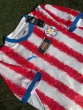 Paraguay 2026