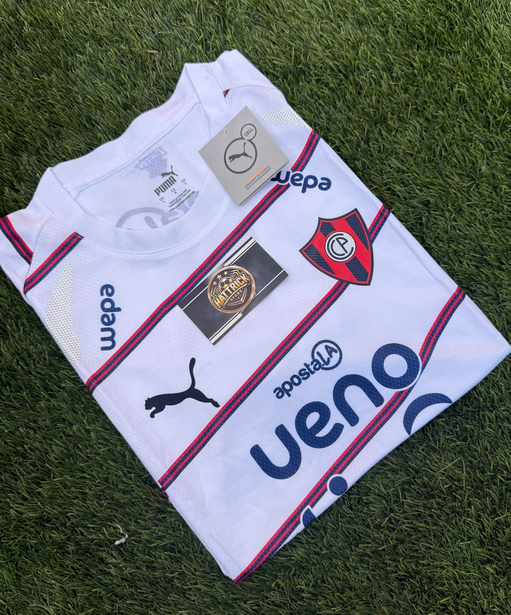 CERRO PORTEÑO ALTERNATIVA 2026
