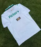 Palmeiras Alternativa 2026