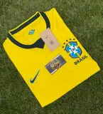 Brasil 2026