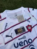 Cerro Porteño Alternativa 2026