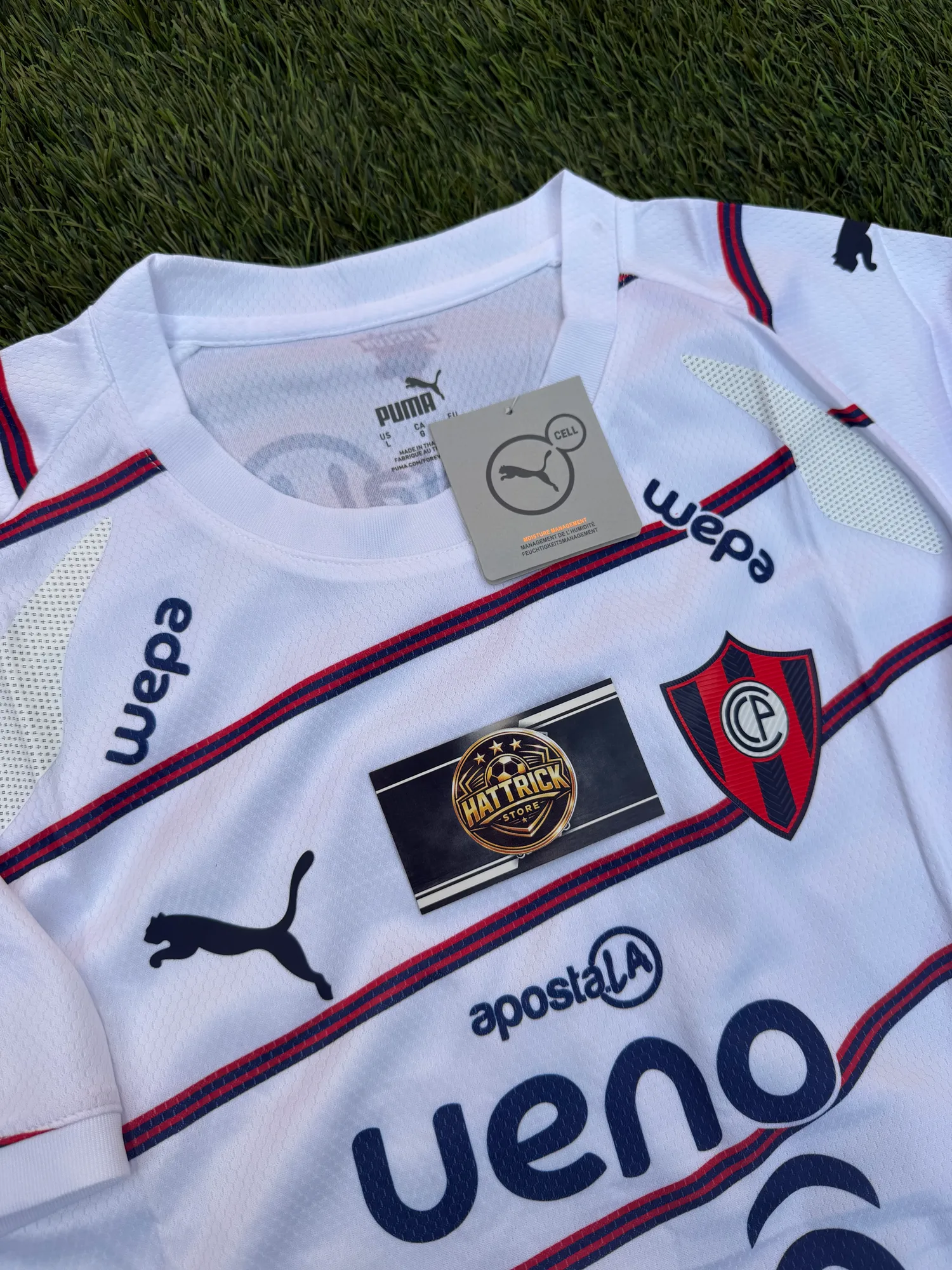 CERRO PORTEÑO ALTERNATIVA 2026