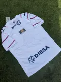 Cerro Porteño Alternativa 2026