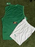 Conjunto de Palmeiras