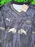 Bragantino Alternativa 2025