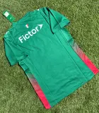 Palmeiras 2026