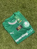 Palmeiras 2026